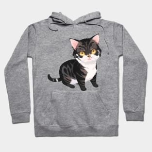 Tabby Kitty Hoodie